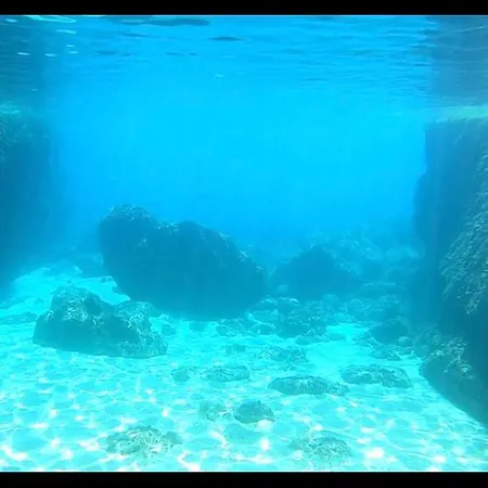 Captainvasilisboatcharters *