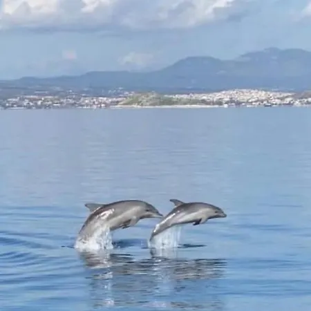 Captainvasilisboatcharters Botel *